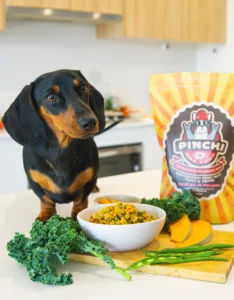 Dog with Pinchi D Dog Food