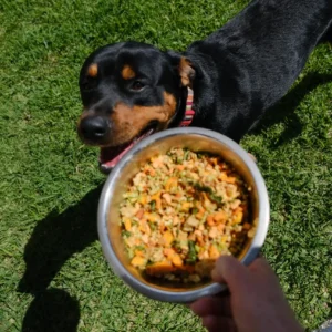 Dog Food