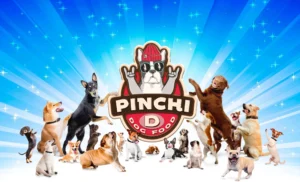 Pinchi D Dog Food