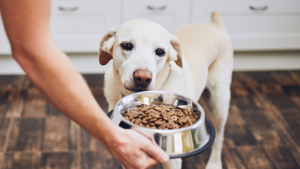 Dehydrated dog food Australia